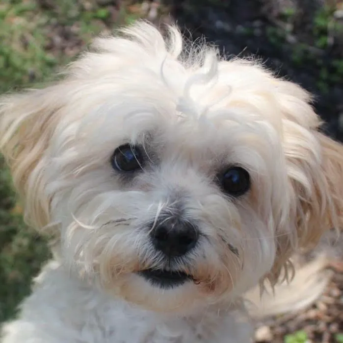 Animal Eye Clinic Picture 10