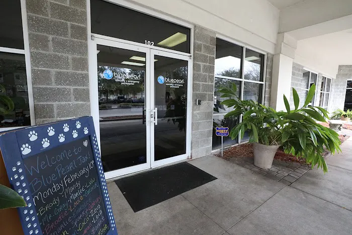 BluePearl Pet Hospital Picture 6