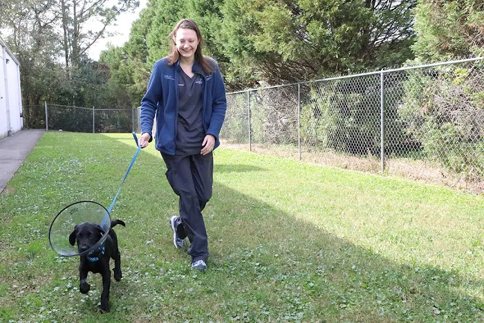 BluePearl Pet Hospital Picture 8