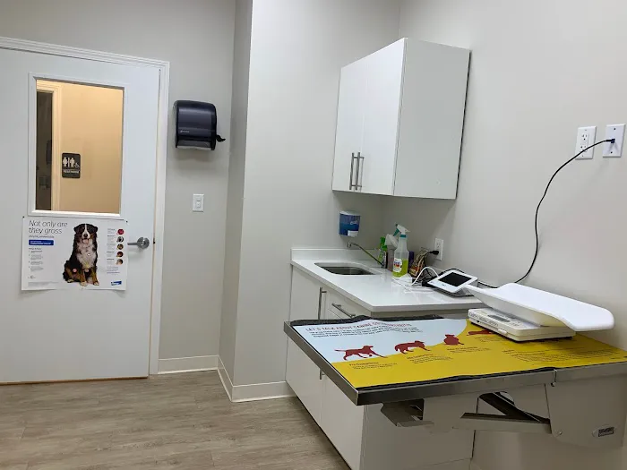 Sunshine Animal Clinic Picture 4