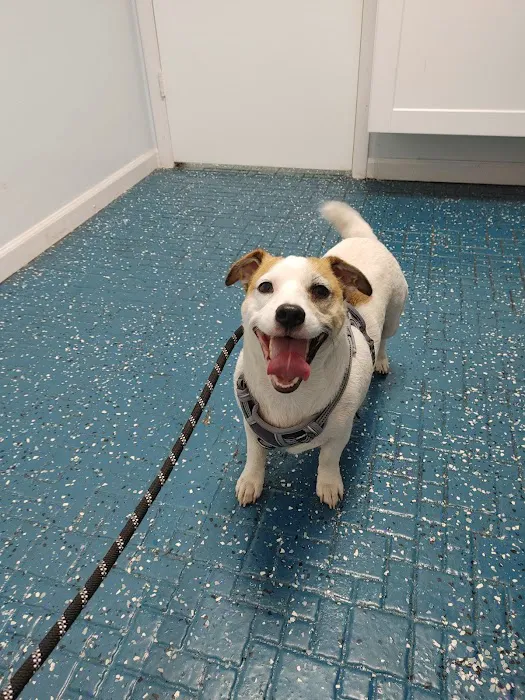SJB Animal Care Center Picture 5
