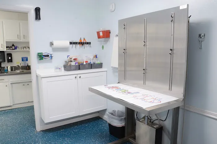 SJB Animal Care Center Picture 7