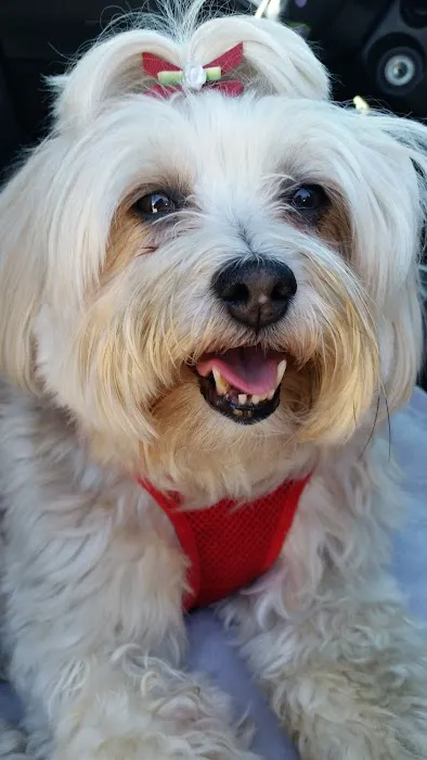 SJB Animal Care Center Picture 10