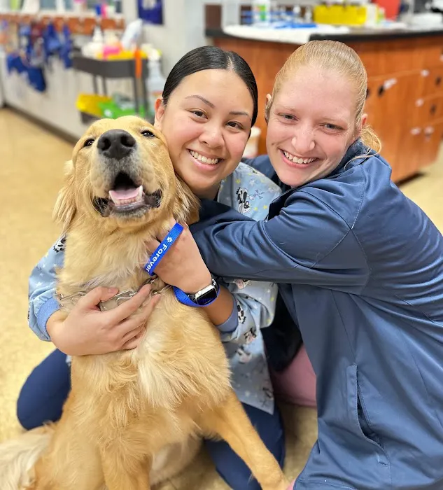 Forever Vets Animal Hospital at Tinseltown Picture 2