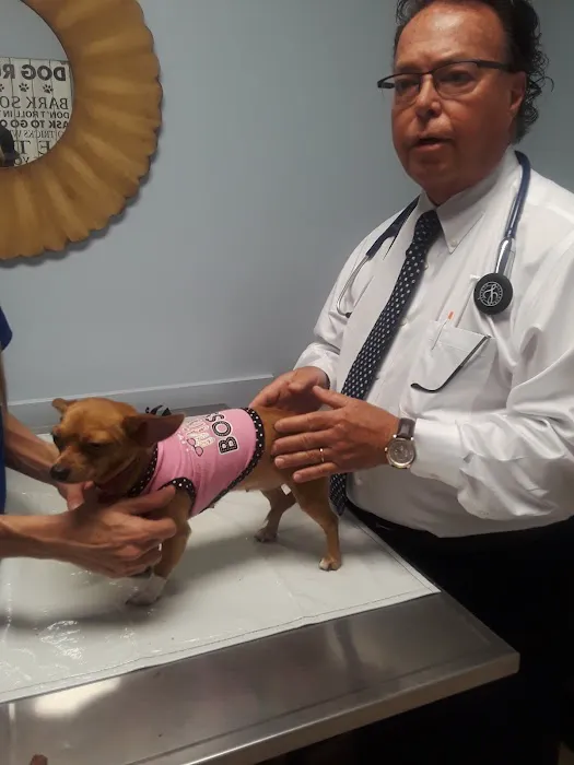 Beach St Johns Animal Hospital Picture 2
