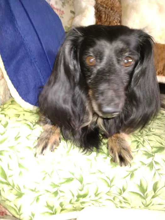 Beach St Johns Animal Hospital Picture 5