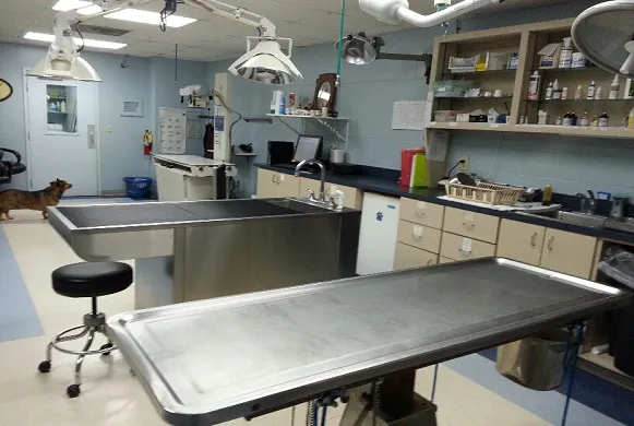 San Juan Animal Hospital Picture 1