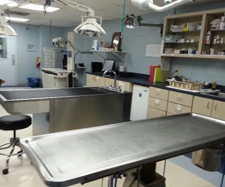 San Juan Animal Hospital