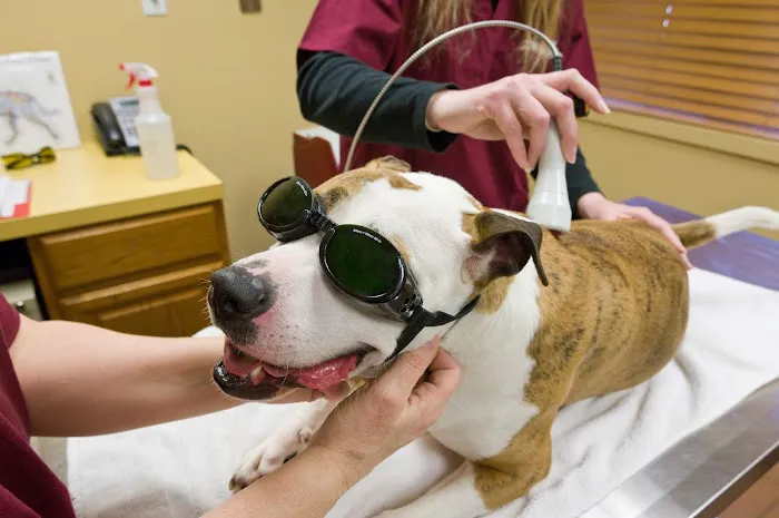 San Juan Animal Hospital Picture 8