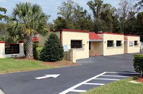 San Jose Beauclerc Animal Hospital Picture 1