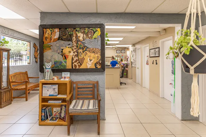 San Jose Beauclerc Animal Hospital Picture 5