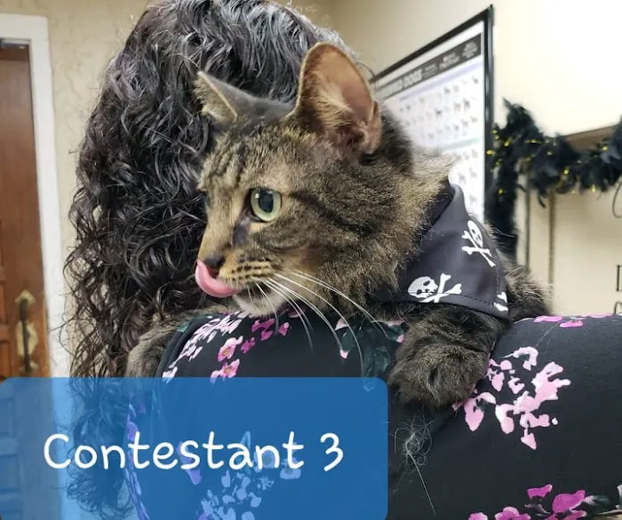 San Jose Beauclerc Animal Hospital Picture 8