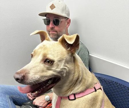 Forever Vets Animal Hospital at Baymeadows