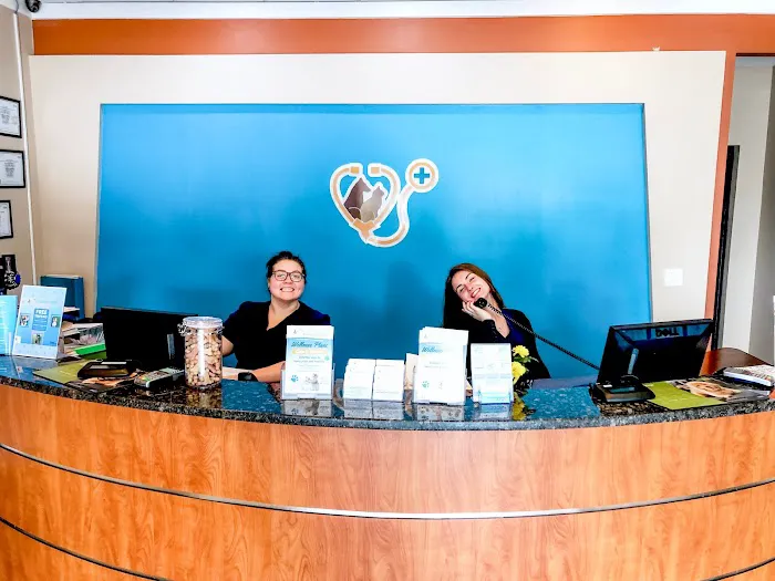 Forever Vets Animal Hospital at Baymeadows Picture 4
