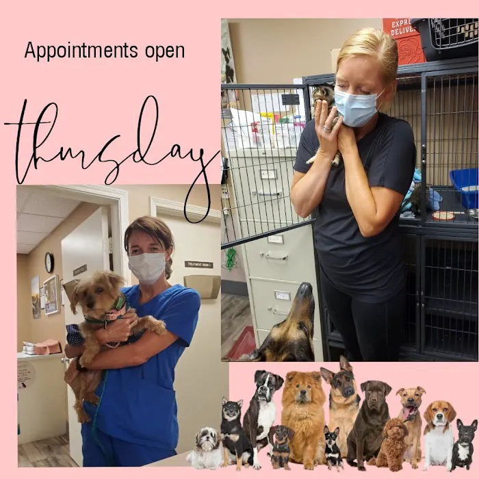 Animal Clinic of Mandarin Picture 1