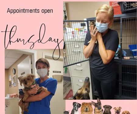 Animal Clinic of Mandarin