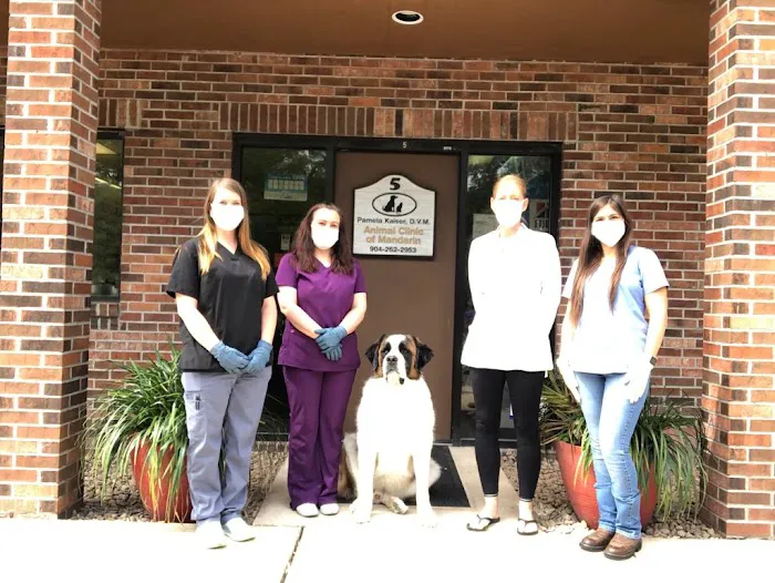 Animal Clinic of Mandarin Picture 5
