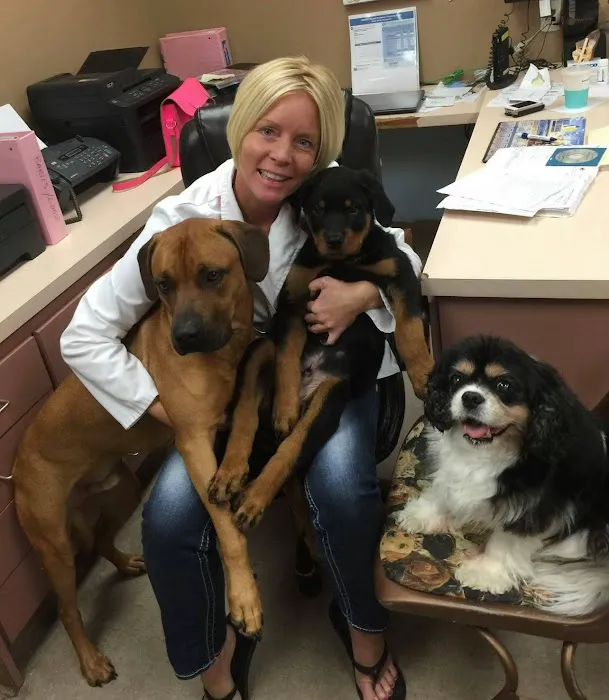 Animal Clinic of Mandarin Picture 10