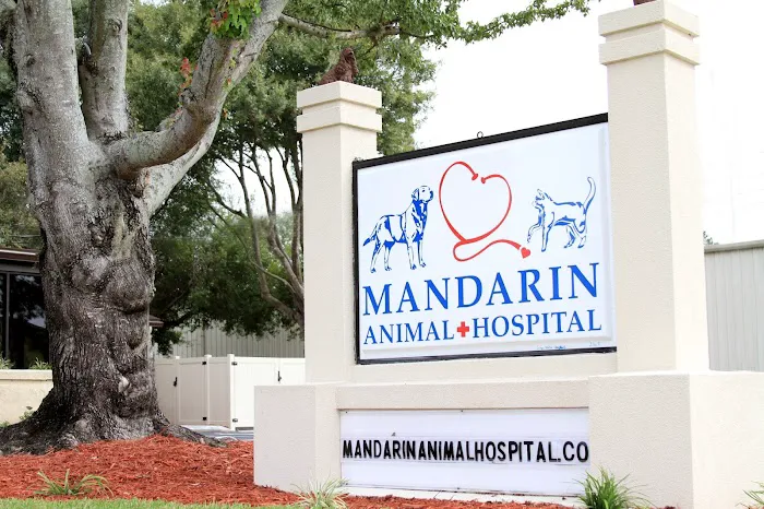 Mandarin Animal Hospital Picture 1
