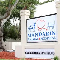 Mandarin Animal Hospital ico