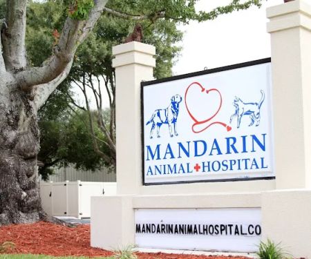 Mandarin Animal Hospital