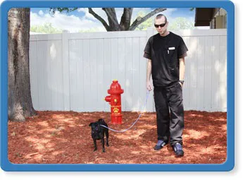 Mandarin Animal Hospital Picture 6