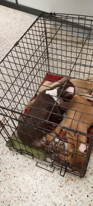 South Lane Animal Hospital Picture 6