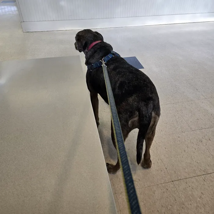 San Juan Animal Hospital Picture 2