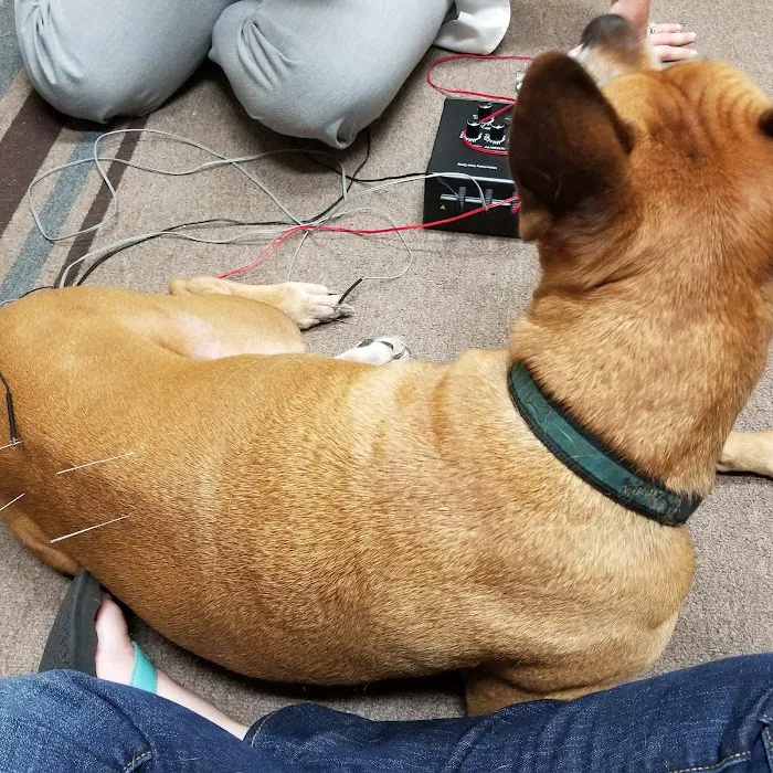 San Juan Animal Hospital Picture 3