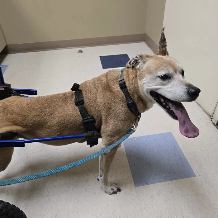San Juan Animal Hospital Picture 1