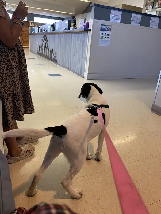San Juan Animal Hospital Picture 7