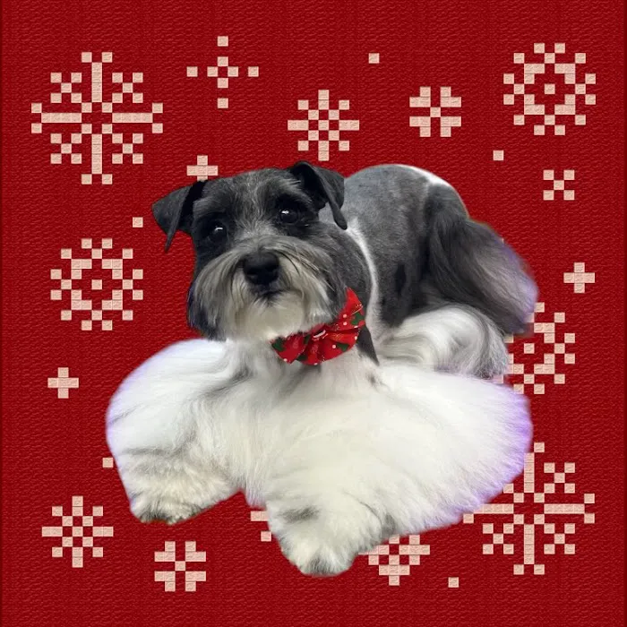 Cedar Hills Animal Hospital Picture 4