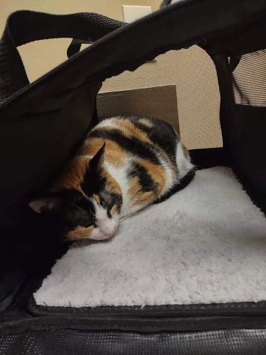 Cedar Hills Animal Hospital Picture 5