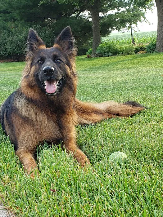 Minnehaha Animal Hospital Picture 1