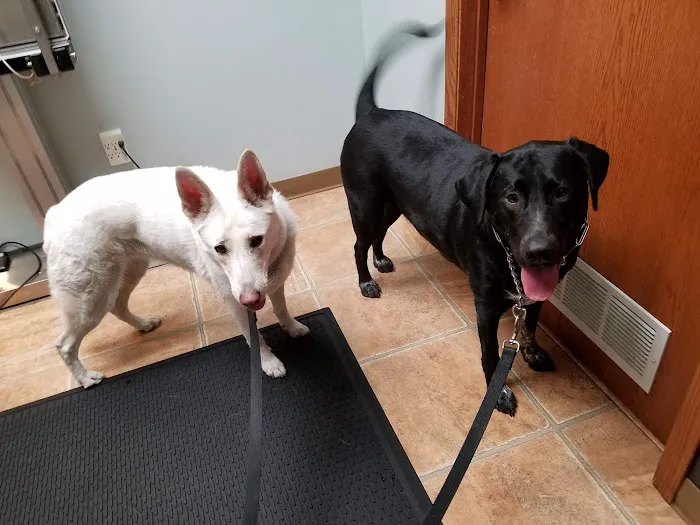 Minnehaha Animal Hospital Picture 2
