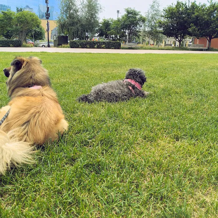 Minnehaha Animal Hospital Picture 4