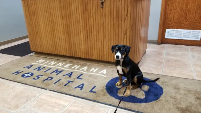Minnehaha Animal Hospital Picture 5