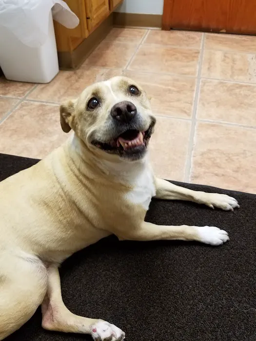 Minnehaha Animal Hospital Picture 9