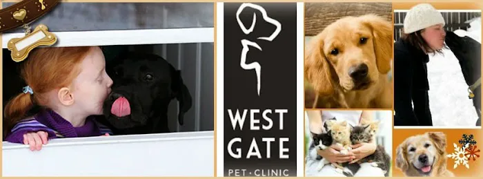 Westgate Pet Clinic Picture 1