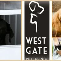 Westgate Pet Clinic ico