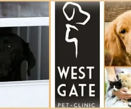 Westgate Pet Clinic