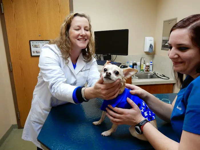 Westgate Pet Clinic Picture 2