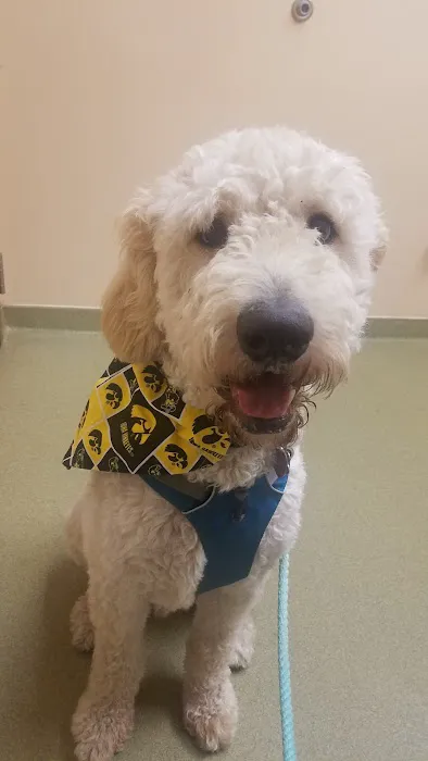 Westgate Pet Clinic Picture 4