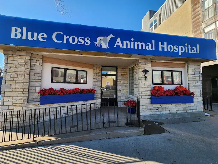 Blue Cross Animal Hospital Picture 2