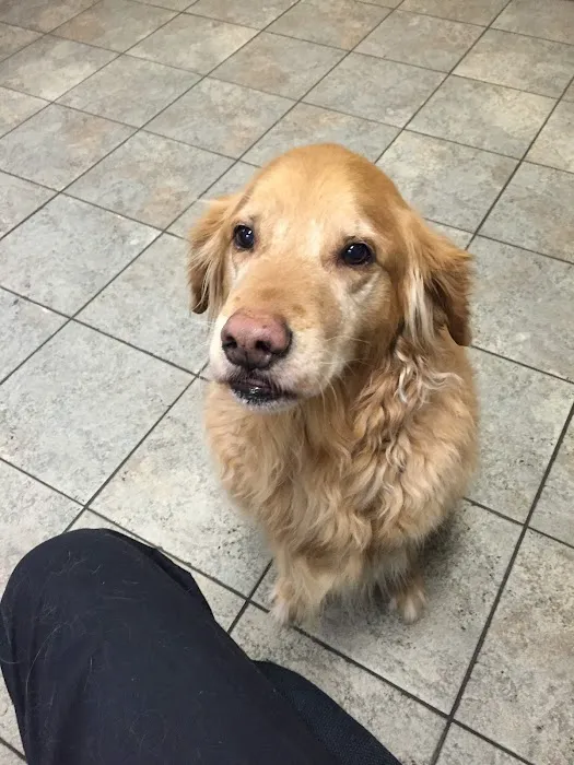 Blue Cross Animal Hospital Picture 7
