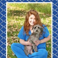 Apache Animal Hospital ico