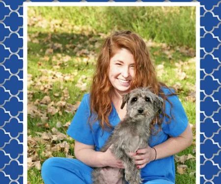 Apache Animal Hospital