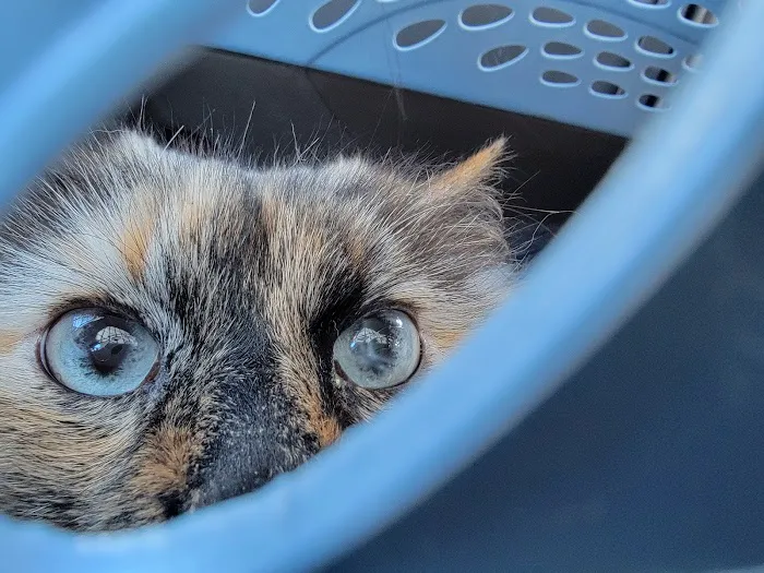 Suburban Animal Hospital Picture 2