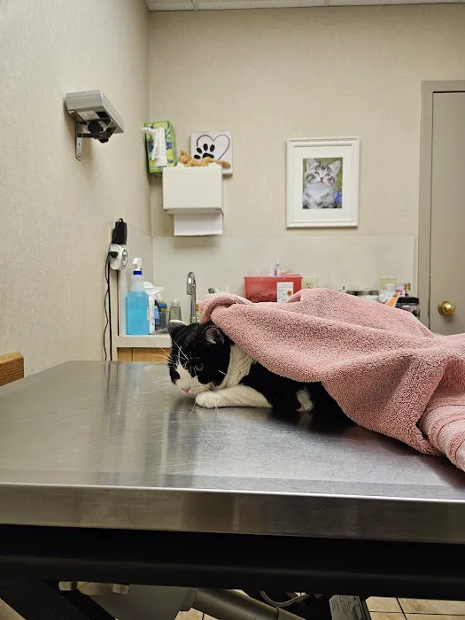 Suburban Animal Hospital Picture 6