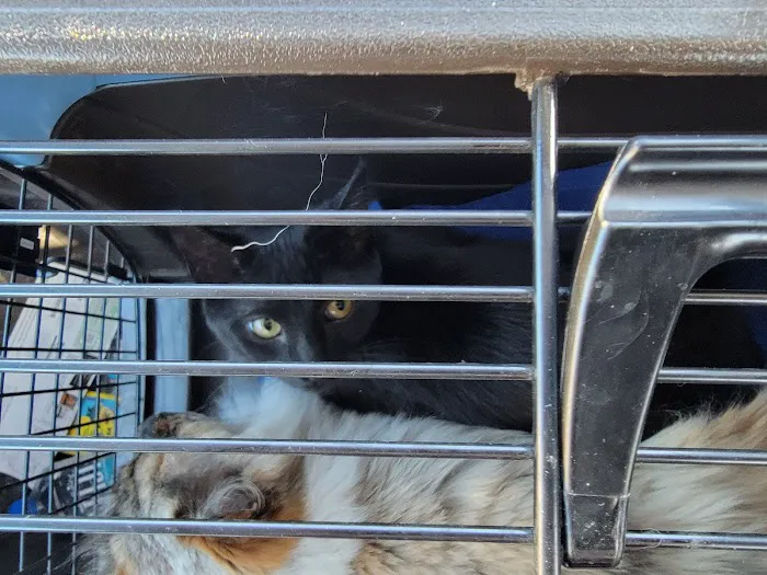 Suburban Animal Hospital Picture 8